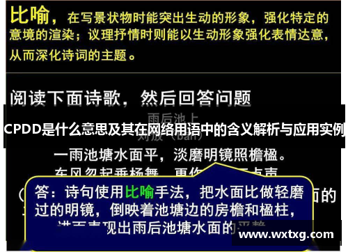 CPDD是什么意思及其在网络用语中的含义解析与应用实例