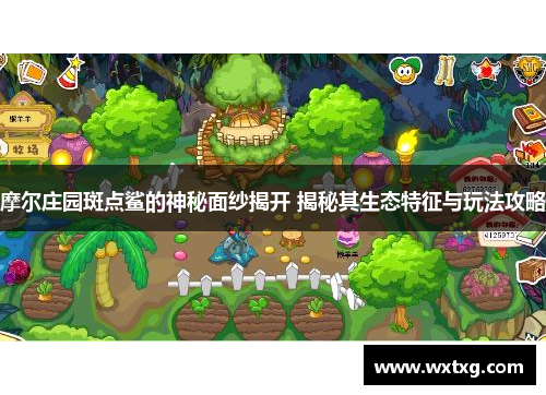 摩尔庄园斑点鲨的神秘面纱揭开 揭秘其生态特征与玩法攻略